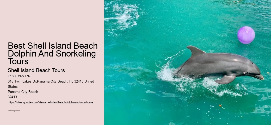 Where Do You Use The Bathroom On Shell Island