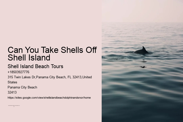 Can You Take Shells Off Shell Island