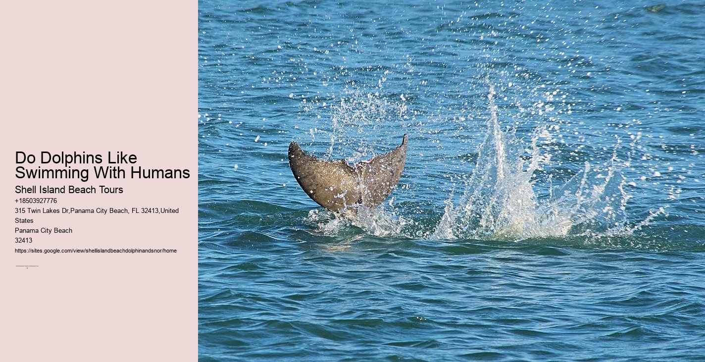 Snorkeling: How Deep Can You Go