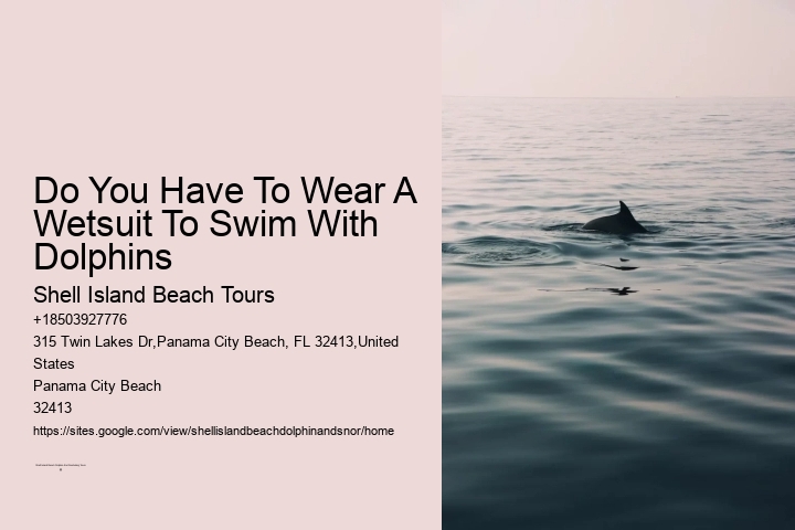 Do You Have To Wear A Wetsuit To Swim With Dolphins