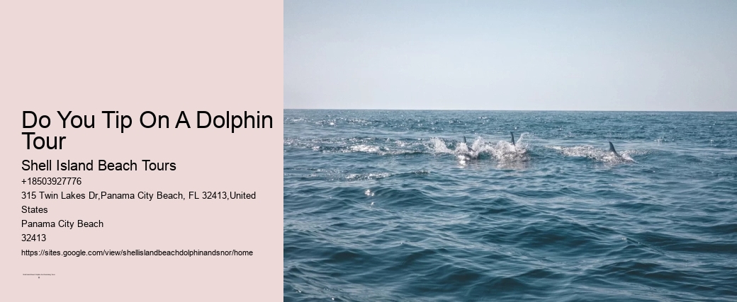 Do You Tip On A Dolphin Tour