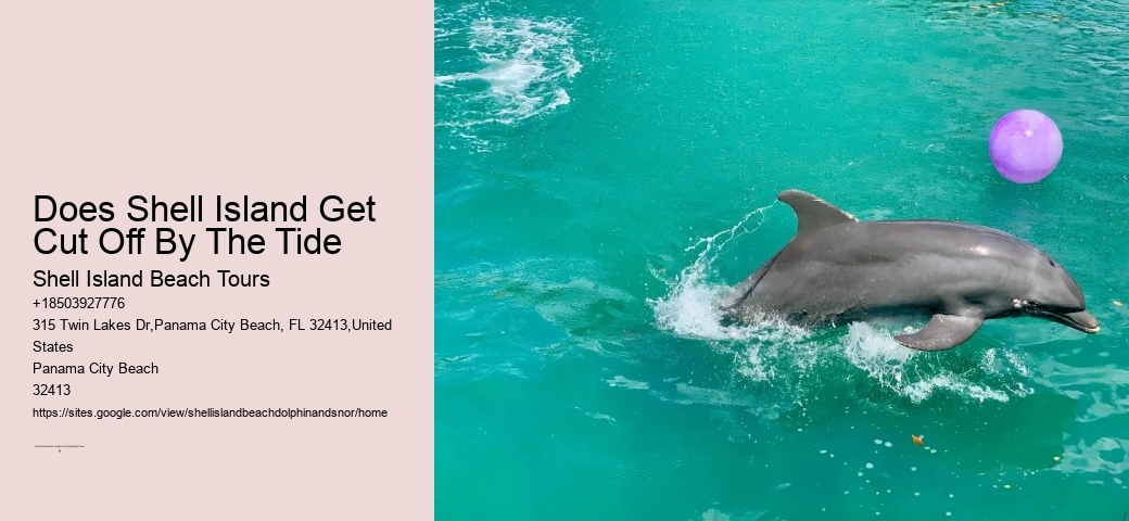 Snorkel Dreams Tours