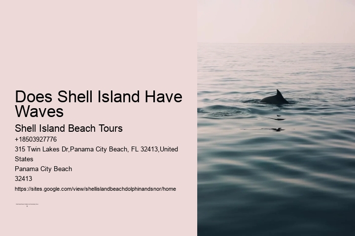 Does Shell Island Have Waves