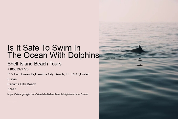 Is It Safe To Swim In The Ocean With Dolphins
