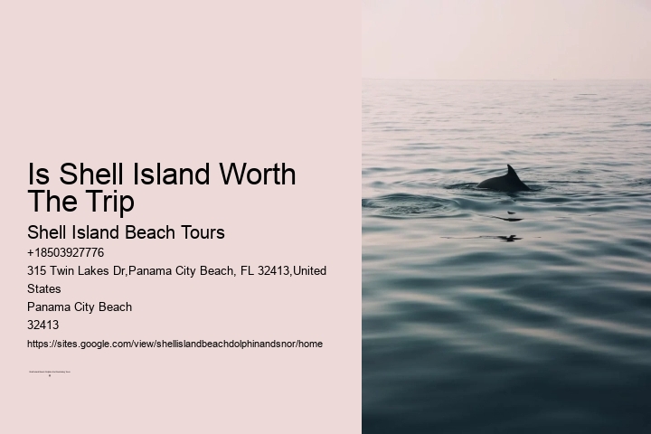 Is Shell Island Worth The Trip