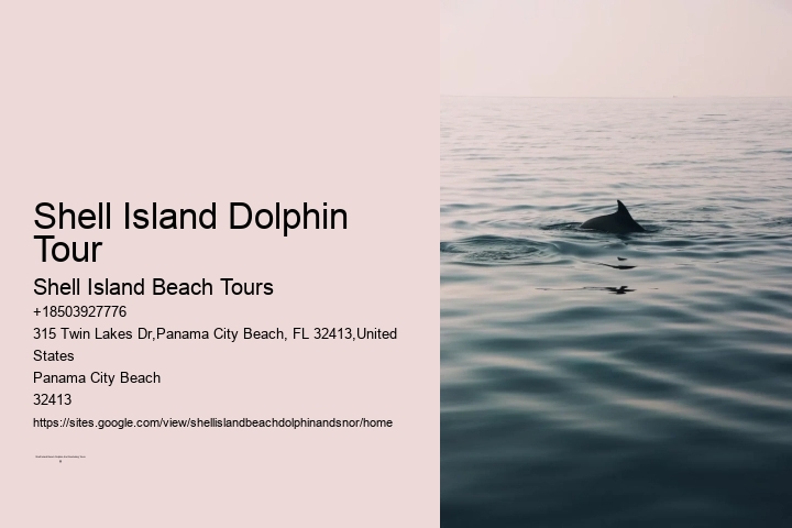 Shell Island Dolphin Tour