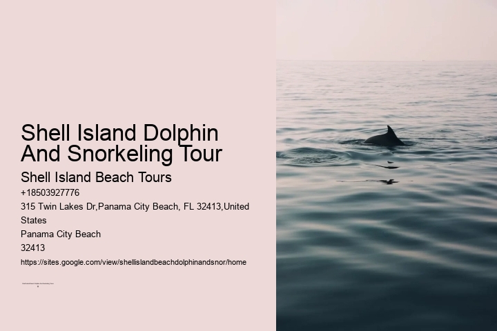 Shell Island Dolphin And Snorkeling Tour