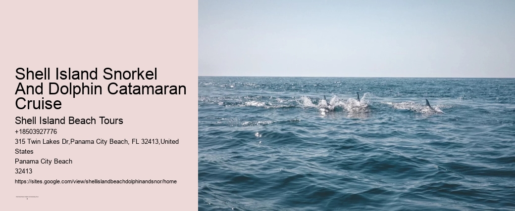 Shell Island Snorkel And Dolphin Catamaran Cruise