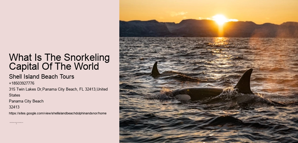 What Is The Snorkeling Capital Of The World